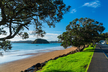 ニュージーランド　ベイ・オブ・アイランズのパイヒアのビーチの朝の風景