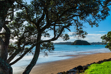 ニュージーランド　ベイ・オブ・アイランズのパイヒアのビーチの朝の風景