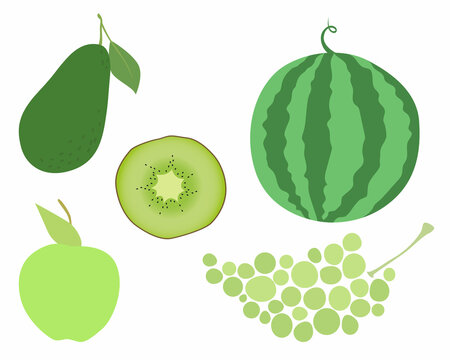 Set of vector images of different fruits. Designer drawing of colorful fruits: watermelon, apple, kiwi, avocado, grapes