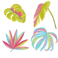 Set of hand drawn colorful tropical leaves  © jess