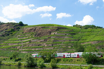 Moseltal mit Weinbau und Moseltalbahn