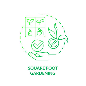 Square Foot Gardening Green Gradient Concept Icon. Divide Into Small Parts. Gardening Method Abstract Idea Thin Line Illustration. Isolated Outline Drawing. Myriad Pro-Bold Font Used