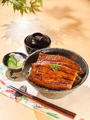 うなぎの蒲焼き