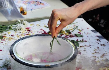 Fototapeta na wymiar Schlanke junge Frauenhand hält Blume in weißen Topf mit dampfendem Wasser 