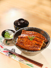 うなぎの蒲焼き