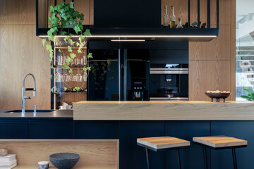 Minimalistic modern wooden panel kitchen interior with ergonomic biuld-in kitchen and kitchen...