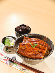 うなぎの蒲焼き