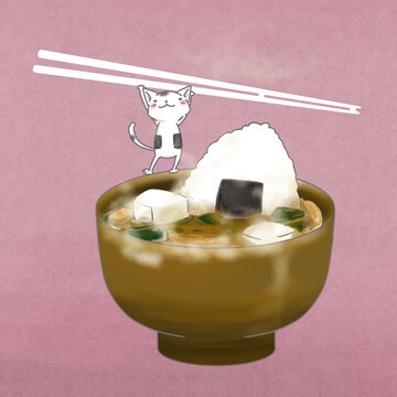 味噌汁とご飯だけで美味しい ねこまんま