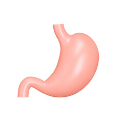 Stomach 3d icon. Internal organ, human gastrointestinal tract. Isolated object on a transparent background