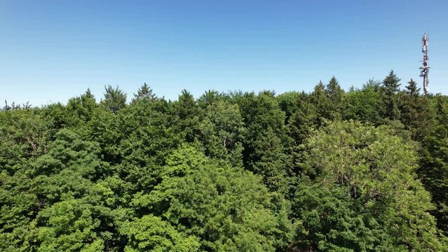 Schluchtensteig - am Buchberg, Blick auf Blumberg