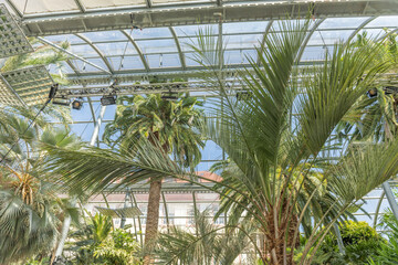 Fototapeta na wymiar House of tropical palm trees on island of mainau.