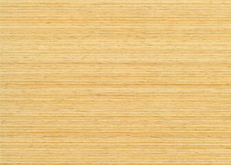 Fototapeta premium Background with wood texture. Wooden surface close up.