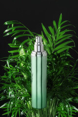 Dark background with green shiny bottle cosmetic packaging on palm leaves, tropical backdrop. Natural skin care product template. Mockup beauty product concept with copy space for your design.
