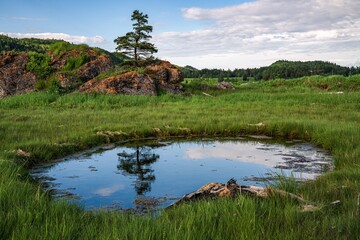 A pond at Rte du Quai in Rimouski, Quebec, Canada