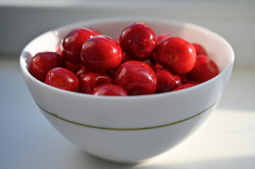 cherry berries from the backyard garden 