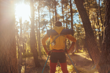 Obraz premium Hiker enjoying sunset in forest