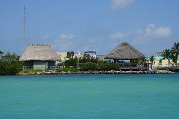 tropical resort pool