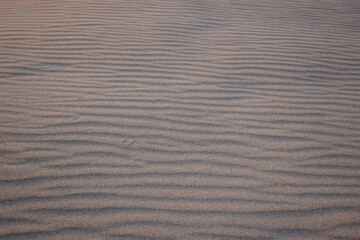 Sand dunes created by the wind. Lay flat