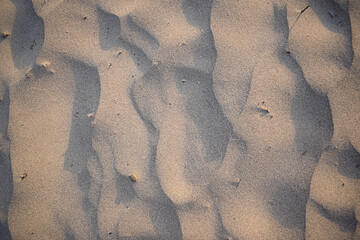 Sand dunes created by the wind. Lay flat