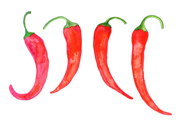 Red hot chili pepper, whole pods, set. Hand drawn watercolor illustration isolated on white background