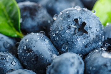 Water drops on ripe sweet blueberry. Fresh blueberries background with copy space for your text. Vegan and vegetarian concept. Macro texture of blueberry berries.Texture blueberry berries close up