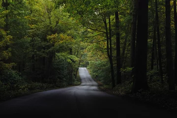 Leere Straße, die in Bäume im Brown State Park Indiana führt © kelsey buttrell/EyeEm