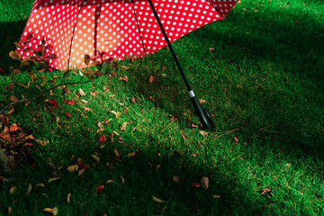 Weather forescast, waiting for rain, red umbrella on green grass with autumn leaves, sunshine, day, shadows - obrazy, fototapety, plakaty