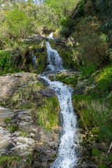 Fototapeta premium View of a small waterfall in the forest