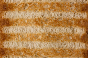 The texture of toasted bread baked on the grill with characteristic stripes. Detailed macro shot of high quality and resolution.