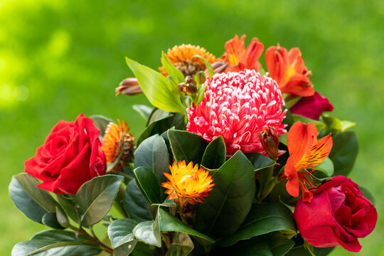 Beautiful red orange bouquet with roses. aster, peruvian lillies, dwarf everlast on green grass background. Gift present celebration concept