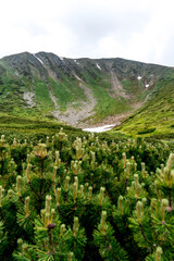 Chornohora Ridge in the mist