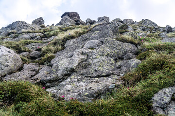 Chornohora Ridge in the mist