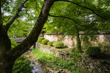 天野山金剛寺（大阪府河内長野市）にて