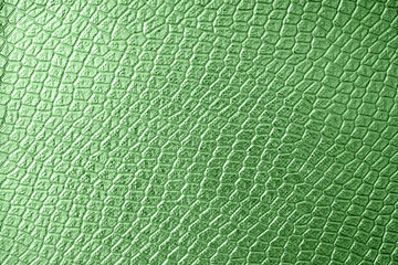 Green crocodile or snake skin texture as background for your project with copy space for text....