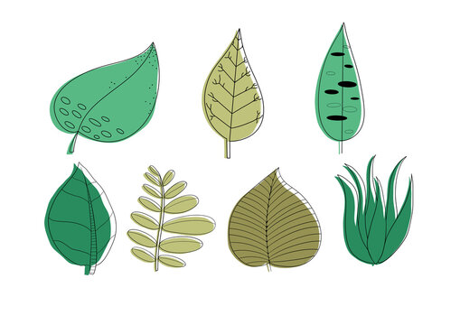 Dibujo lineal de hojas estilo simple