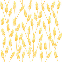 Seamless pattern Wheat ears spikelet with grains vector illustration on white background