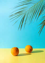 Beach scene with palm and fresh orange. Minimal aesthetic style.