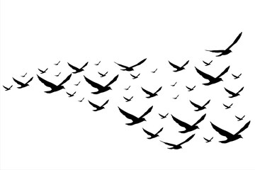 Flock of birds. Silhouette flying bird background Free Vector 