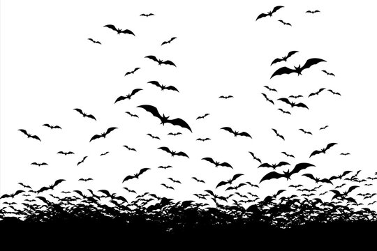 Happy Halloween. Bats fly in the sky. A flock of bats flying on a white background 