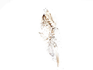 Print of muddy boot on a white background