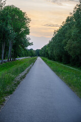 Fototapeta na wymiar empty asphalt path on the dike along the forest with orange sunset