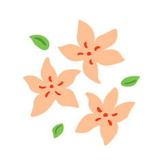 Blossomed  spring abstract nude  flowers . Blooming floral garden plants with leaf. Abstract wild flora. Flat vector illustration of delicate wildflower isolated on white background