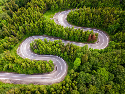Winding Road Trough Dense Forest. Aerial Drone View, Top Down