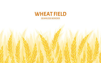 Wheat field background. Cereal plants seamless pattern. Vector cartoon illustration. © Sunnydream