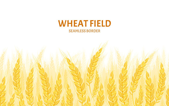 Wheat field background. Cereal plants seamless pattern. Vector cartoon illustration.