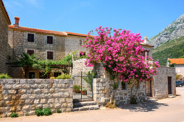 Fototapeta na wymiar Traditional stone house decorated with flowers in Rijeka Rezevici. Montenegro, Europe