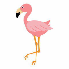 Cute pink flamingo on a white background