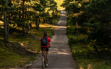 Person riding a bicycle in the forest