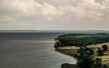View of beach with forest and sea