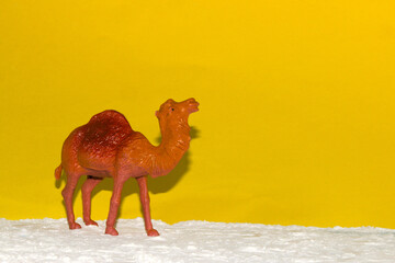 camel in the desert, sunny day, minimal concept, creative summer art design